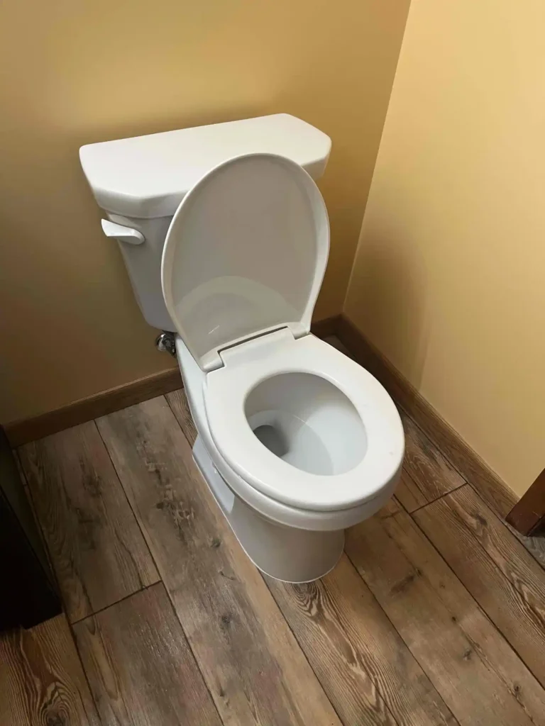South Minneapolis basement toilet